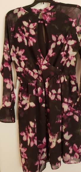 Cynthia Steffe Cara dress NWT - Picture 4 of 5